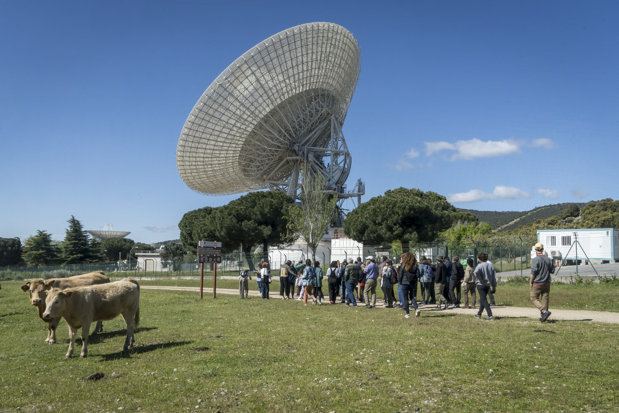 𰂇𰄥𰈁𰁂𰅰𰅶𰁅 𰁥𰅰𰀁𰈂𰂒𰆃𰈖 AND TE𰅴𰄓𰀅𰁠𰅐𰅰𰄢𰂅𰄣𰁱