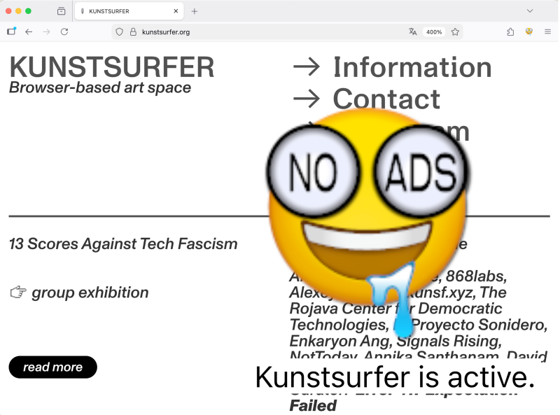 Error 417 x Kunstsurfer