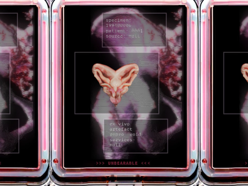 𰆙𰄣𰀔𰁉𰀁𰅦𰀅𰀓L𰁇